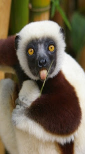 vacanze in madagascar